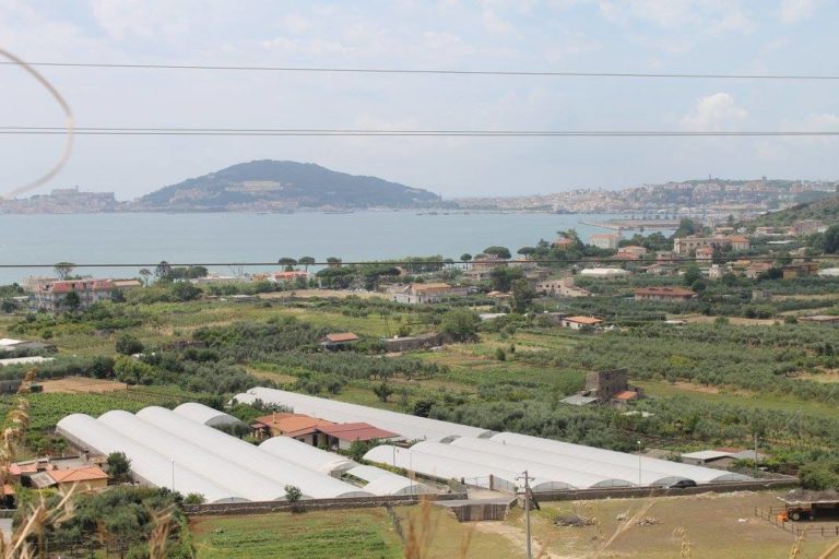 Azienda agricola `Cicerone`, passione a km zero