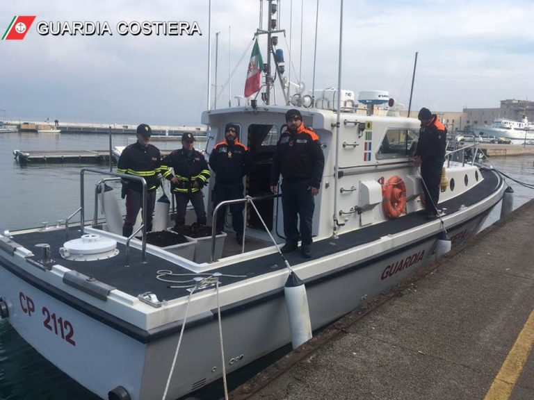 Guardia Costiera di Gaeta sequestro di 2200 ricci di mare e sanzioni per oltre 1000 Euro