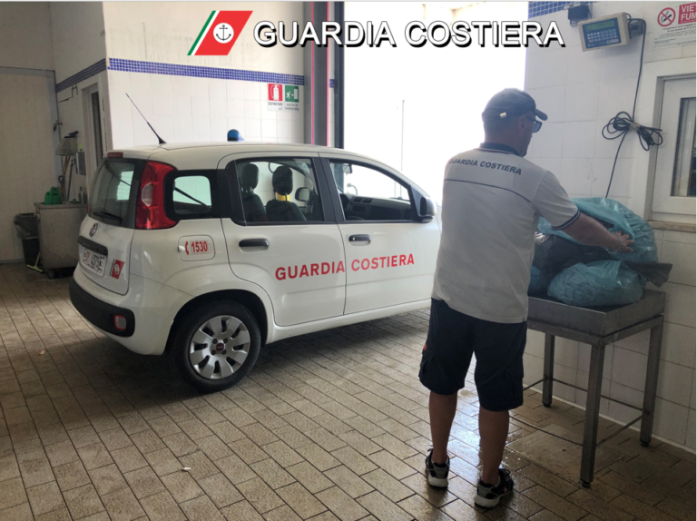Sequestrati 70 kg di cozze raccolte sulla scogliera tra i bagnanti