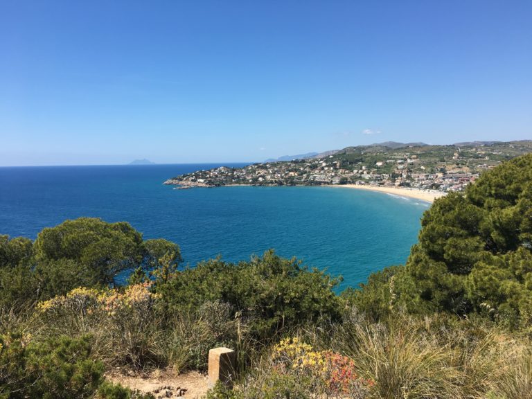 Verde su Monte Orlando a rischio? Ecco cosa sappiamo
