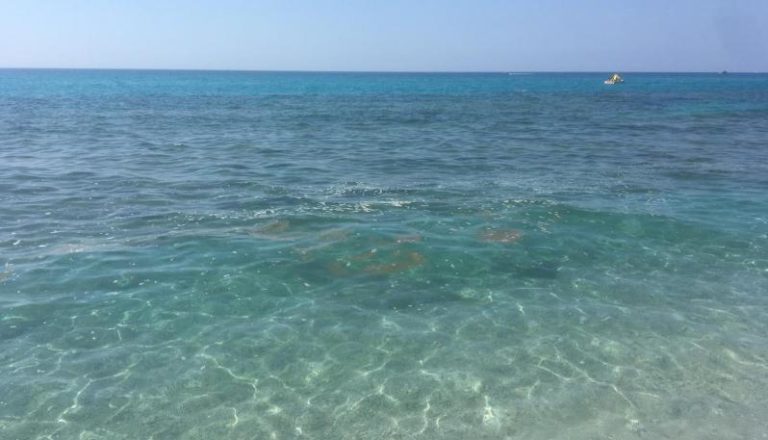 Inquinamento nel Golfo: le associazioni chiedono l’estensione dell’area sensibile