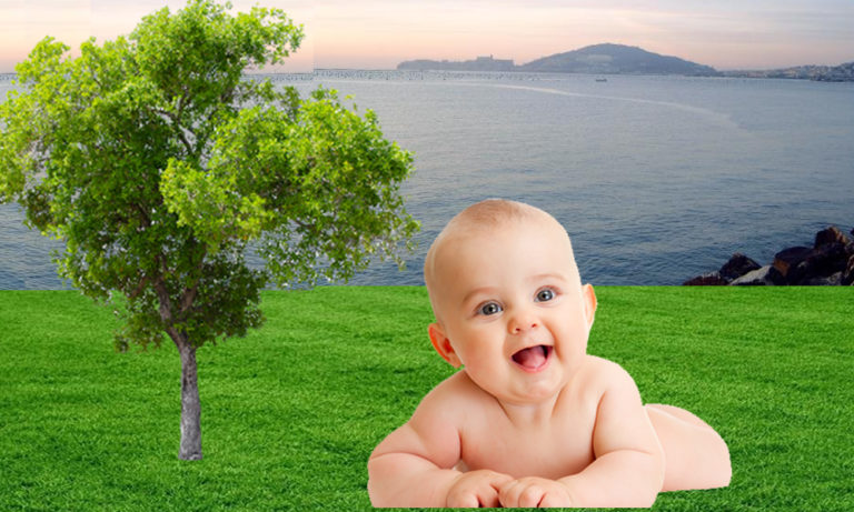 Un nuovo albero per ogni nuovo nato?