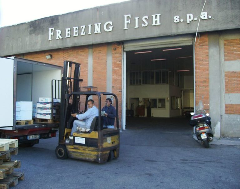 Formia, dopo nove anni il TAR dà ragione alla Formia Freezing Fish