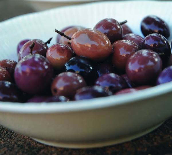 L’olio del sud pontino, un’annata difficile