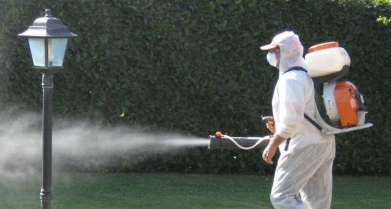 Formia. Derattizzazione e disinfestazione a partire dall’ 11 maggio