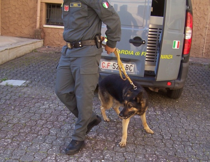 Ponza Stupefacenti GdF