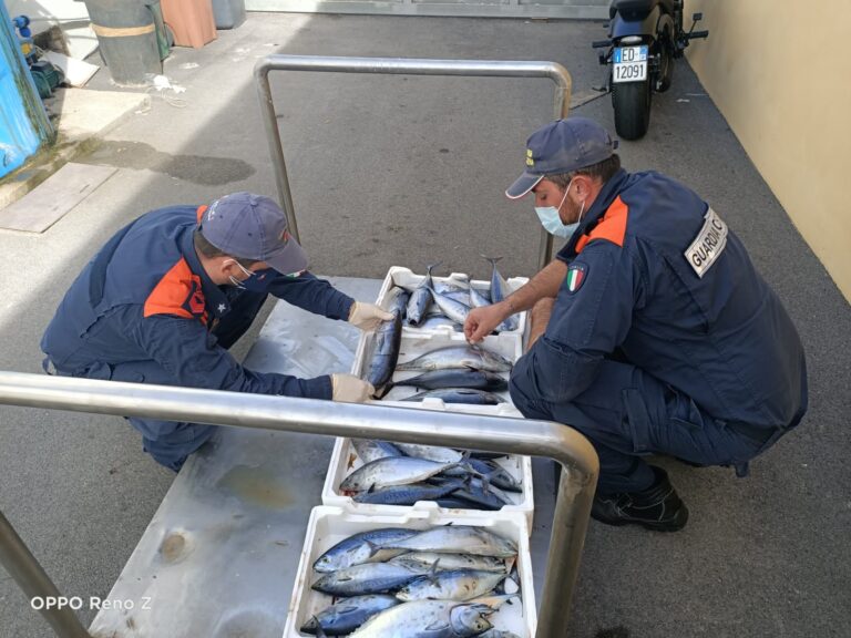 GUARDIA COSTIERA SEQUESTRA NEL GOLFO TONNO ROSSO A UN PESCATORE SPORTIVO CIOCIARO