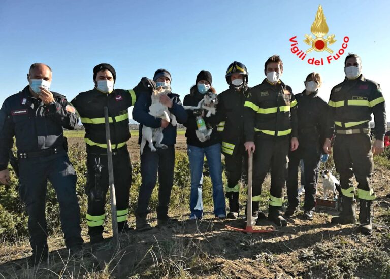 DUE CUCCIOLI FLIPPER E OSHI SALVATI DAI VIGILI DEL FUOCO E DAI CARABINIERI FORESTALI