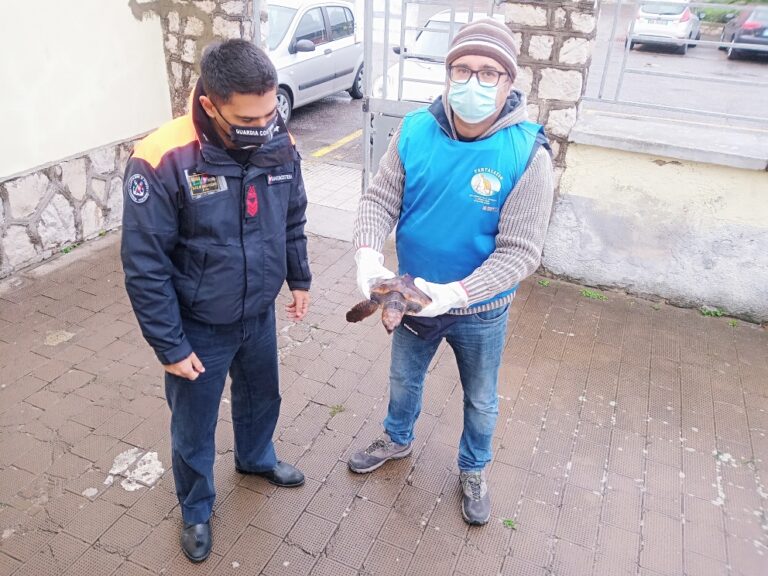 SANTO JANNI: TARTARUGA MARINA IN DIFFICOLTA’ SALVATA DA UN FORMIANO