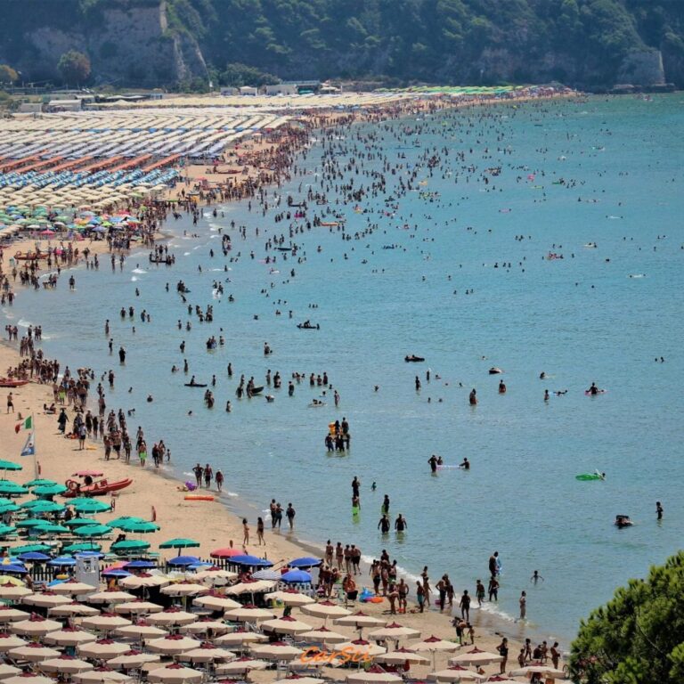 CONCESSIONI BALNEARI NICOLA PROCACCINI FDI AVVISA: L’EUROPA FAVORISCE LA CRIMINALITA’