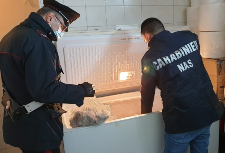 FORMIA CARABINIERI PROTAGONISTI NUMEROSE OPERAZIONI, ANCHE INSIEME NAS DI LATINA