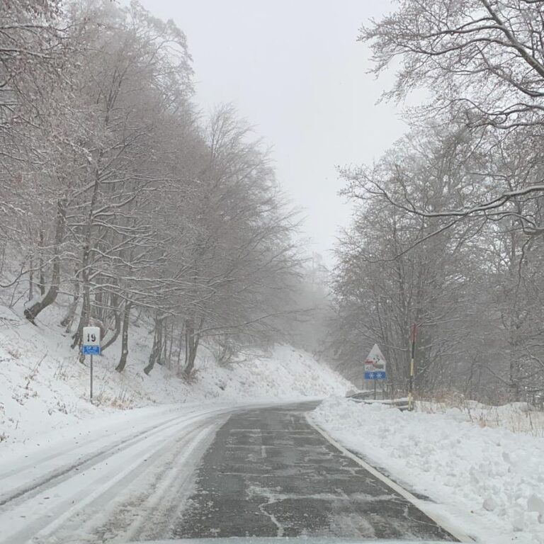 MALTEMP0: NEVE AL NORD E SULLE ZONE APPENNINICHE CENTRO-SETTENTRIONALE