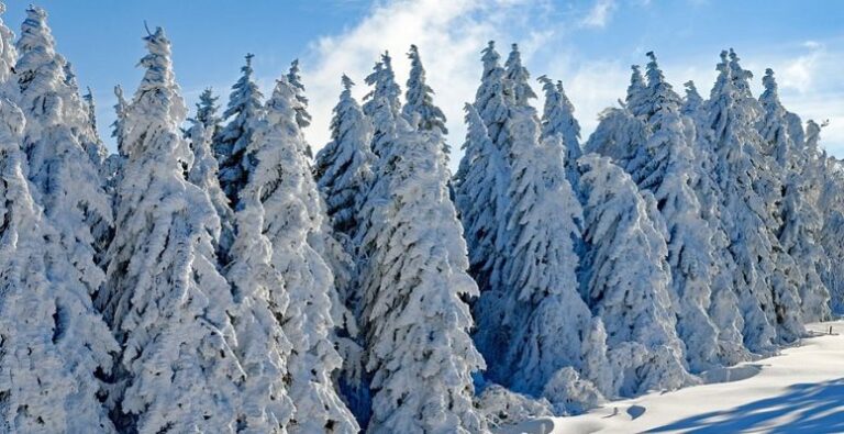 MALTEMPO: ALLERTA GIALLA SU 10 REGIONI E IN ARRIVO NEVE E PIOGGIA AL CENTRO SUD