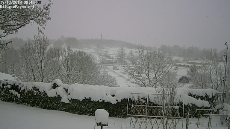 MALTEMPO: NEVE AL CENTRO-SUD FINO A QUOTE COLLINARI, ALLERTA GIALLA IN TRE REGIONI