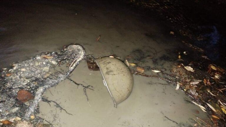 “FINALMENTE SIAMO RIUSCITI A DARE UN NOME ALL’ELMETTO RITROVATO”