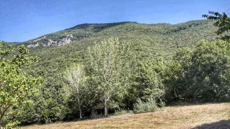 Italia Nostra propone Monumento Naturale Bosco delle Lucinette a Subiaco