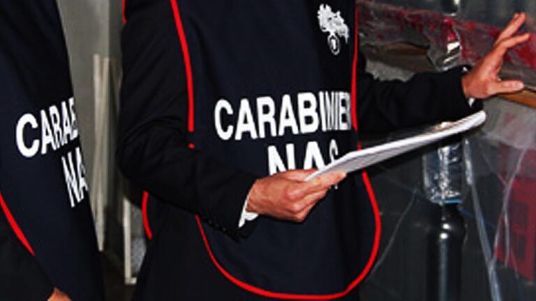 Nell’agro pontino ravanelli, cetrioli, barbabietole, zucchine e rape bianche imbottite di veleno