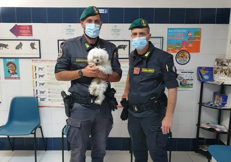 Minturno – Esercizio abusivo della professione veterinaria, truffa e maltrattamento di animali