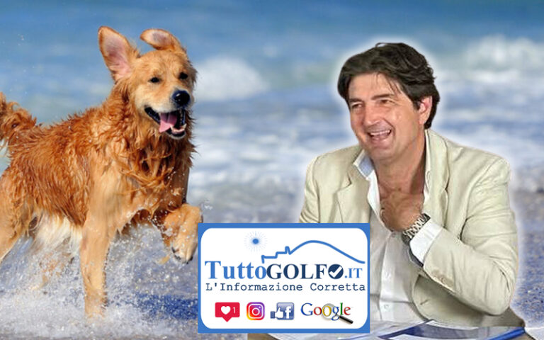 Minturno: Pino D’Amici propone spiaggia aperta ai cani, riapertura canile, gattile e ufficio tutela