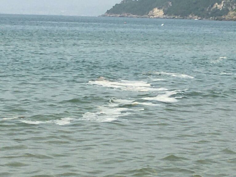 Minturno Fratelli d’Italia: ora una soluzione per schiuma bianca e qualità delle acque