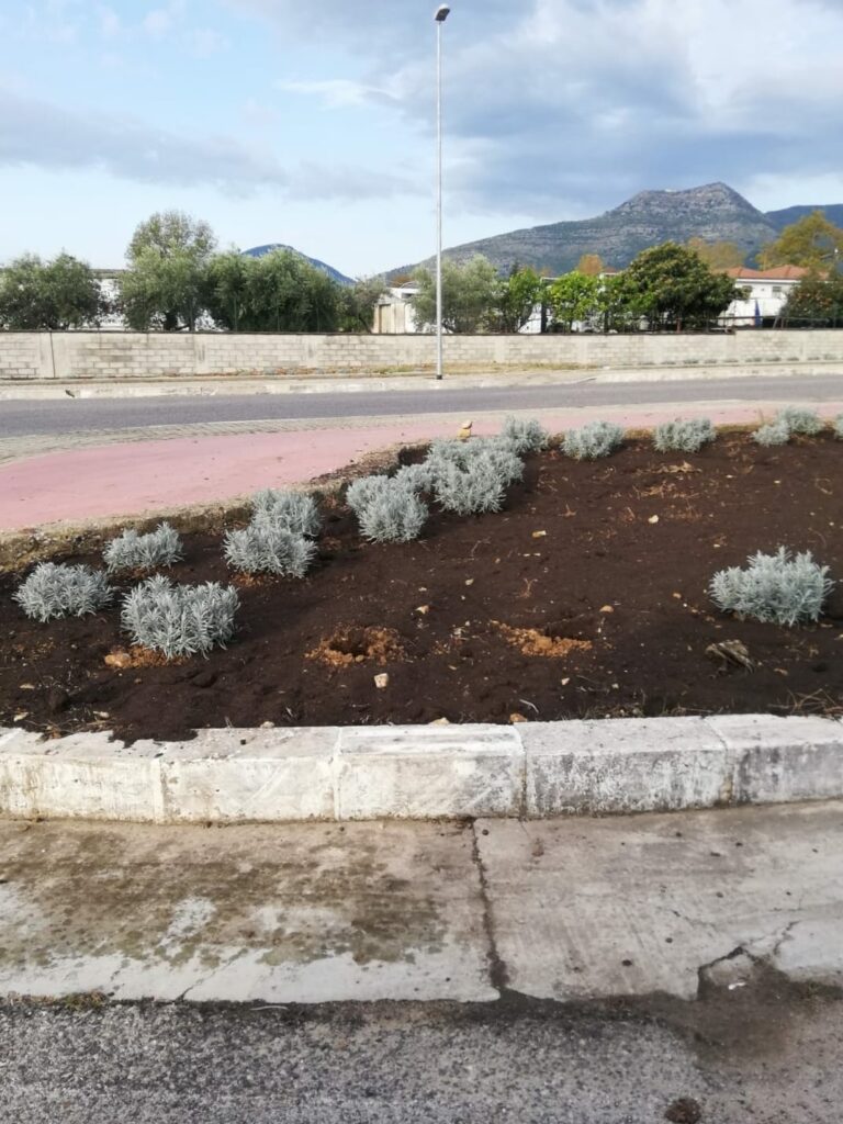 Fondi – Rubati i primi arbusti piantati nell’ambito del progetto Ossigeno