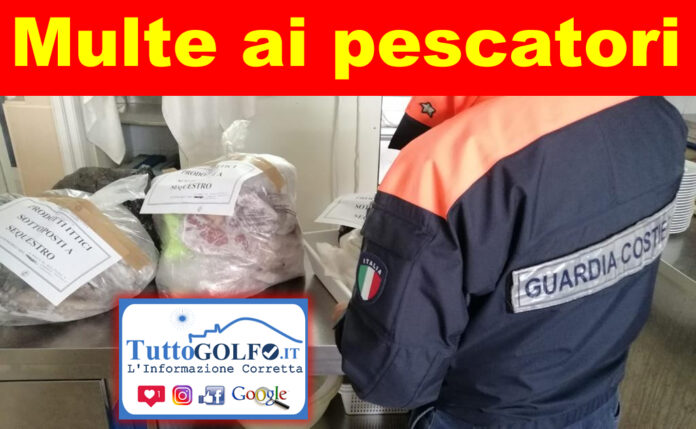 multe pescatori