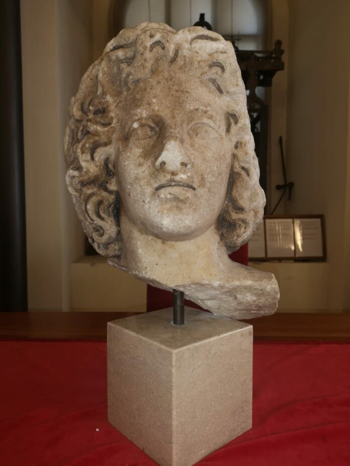 testa alessandro magno