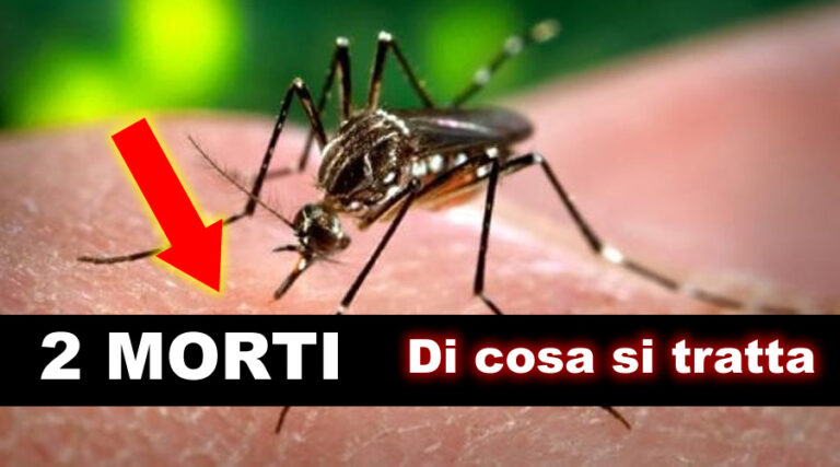West Nile, secondo decesso. Di cosa si tratta