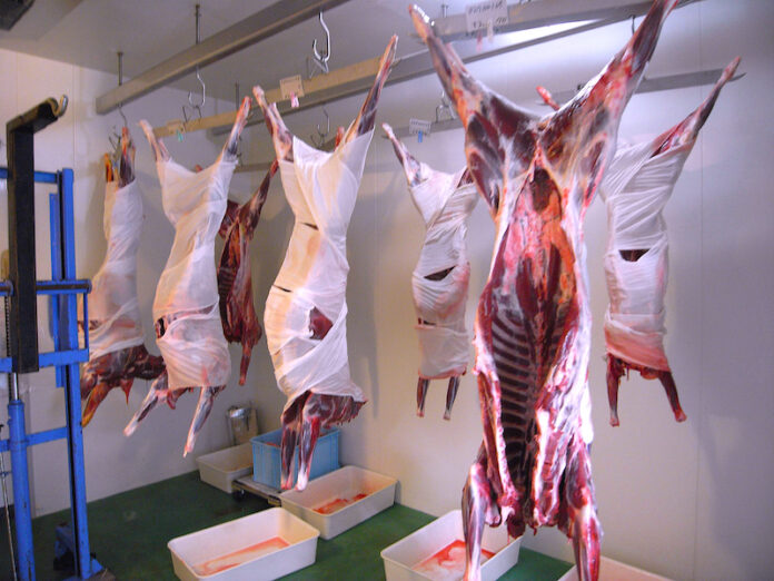 5-lavorazione_selvaggina