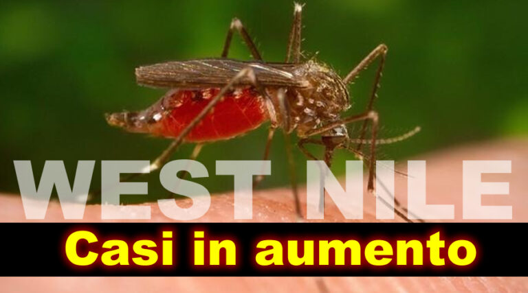 ISS, West Nile: Continua a crescere il numero di casi umani di infezione