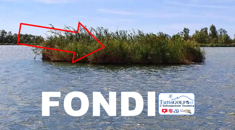 Le ballene, fenomeno naturale sul Lago di Fondi 