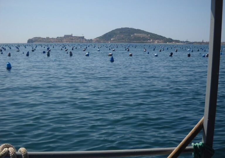 Acquacoltura e Figlie di un dio minore: un problema comune a Gaeta, Formia e Minturno