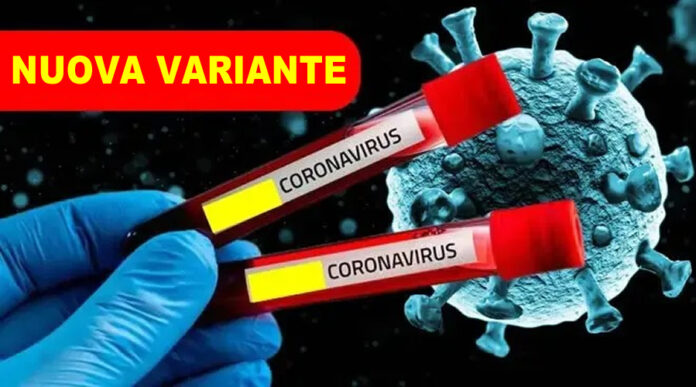 NUOVA VARIANTE GRYPHON