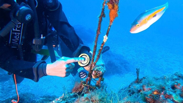 Il Mare soffoca. È sempre più caldo e pieno di plastiche