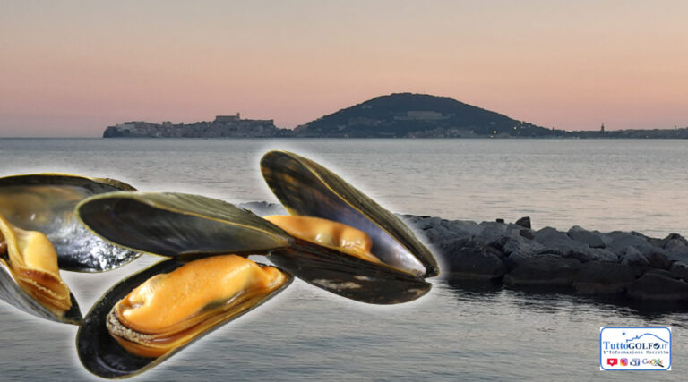 La cozza di Gaeta protagonista nella web serie “Viaggio nel gusto” prodotta dal Consorzio Industriale e dal Gambero Rosso