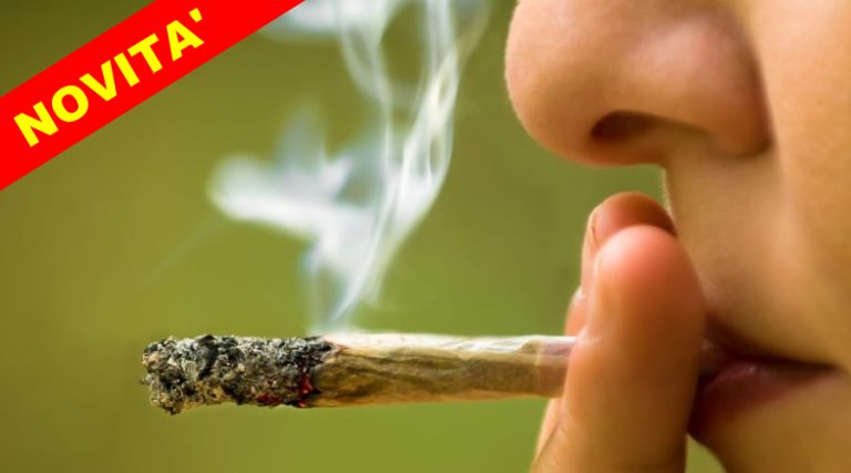 Liberalizzata la marijuana in un altro paese Europeo. Si potrà coltivare e possedere