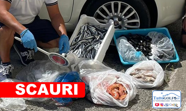 Sequestrati a Scauri oltre 38 kg di pesce. Sanzione salatissima