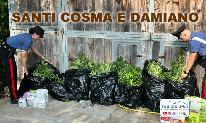 CARABINIERI SANTI COSMA E DAMIANO MARIJUANA