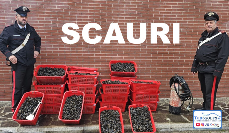 Scauri – Trovato in possesso di oltre 500 chilogrammi di cozze pescate nella notte. Pesantissima la sanzione