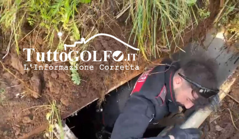 Otto persone arrestate per associazione a delinquere di tipo mafioso. Blitz in Provincia di Latina