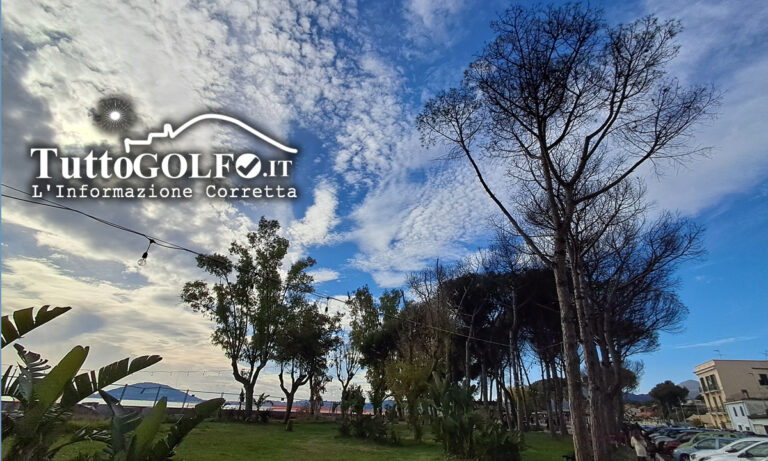 A rischio di estinzione la Pineta di Vindicio. Una pagina di storia che appartiene a tutti noi