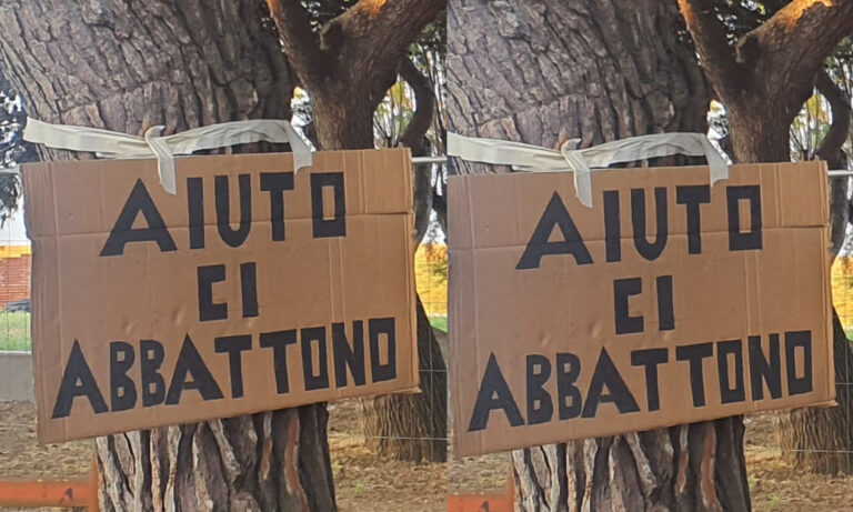 Minturno: Blitz al Parco Recillo da parte di Legambiente