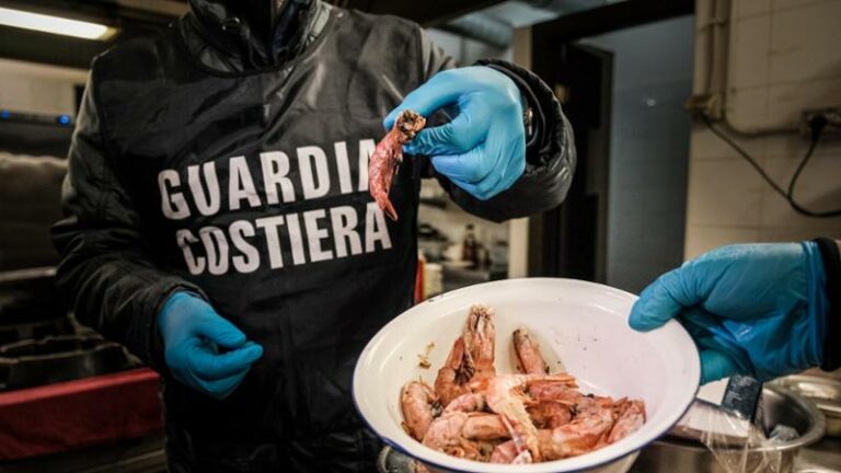 Sequestrati 100 kg di pesce in un ristorante dalla Guardia Costiera di Gaeta