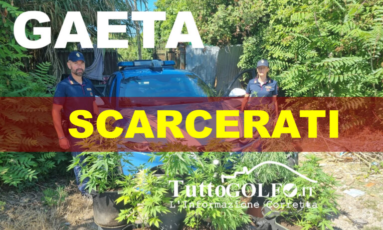Piantagione di Marjuana a Gaeta: scarcerati l’uomo e la donna arrestati dalla Polizia