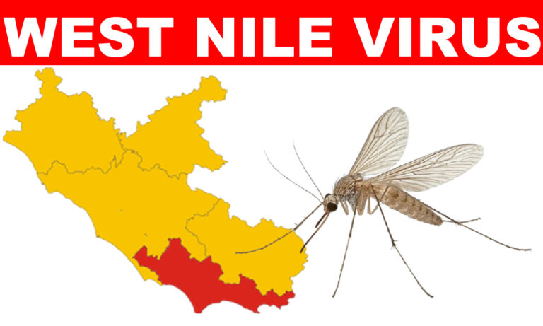 West Nile un caso a Santi Cosma e Damiano. Nella Regione Lazio un’ordinanza urgente per prevenire la diffusione