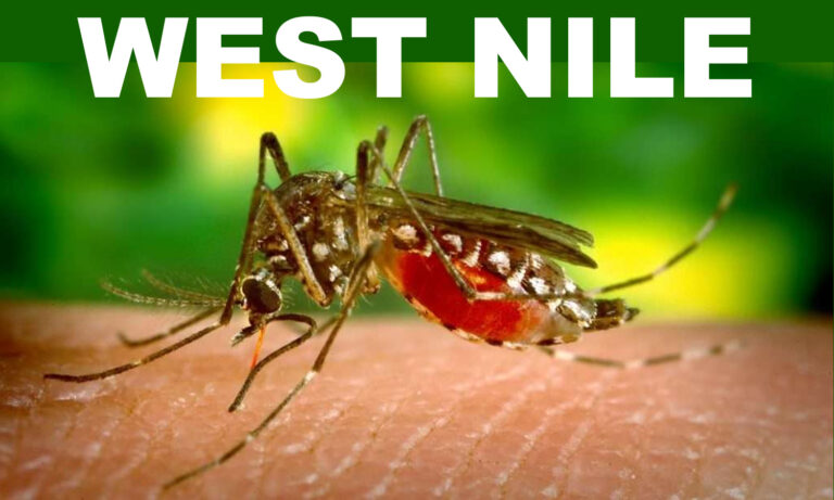 Provincia di Latina – Casi di infezione da Virus West Nile