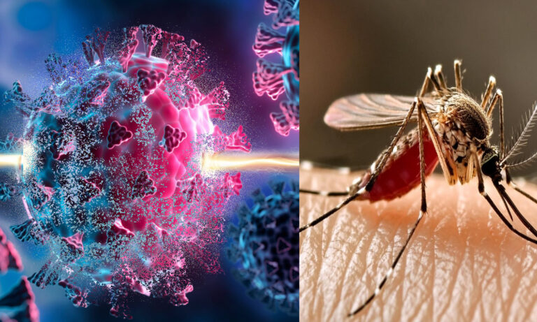 West Nile, i casi confermati salgono a 10