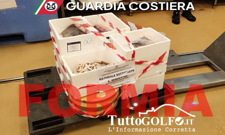 Formia, Controlli in una pescheria – Sequestrati 145 chilogrammi di prodotto ittico. Pesante la sanzione
