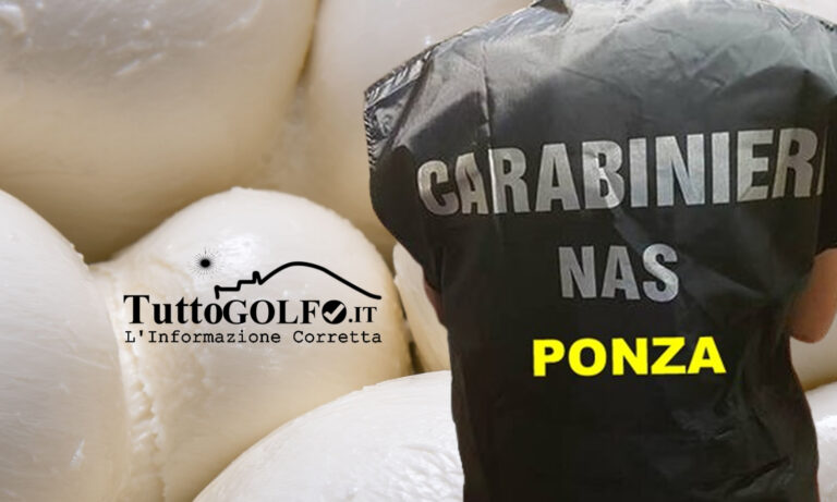 NAS Ponza, in una nave proveniente da Formia 100 kg di mozzarelle di bufala in cattivo stato di conservazione