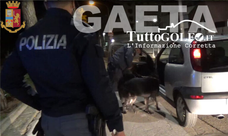 Gaeta, Malamovida: cani antidroga in azione